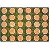 Tree Rounds Seating Rug